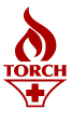 torch logo